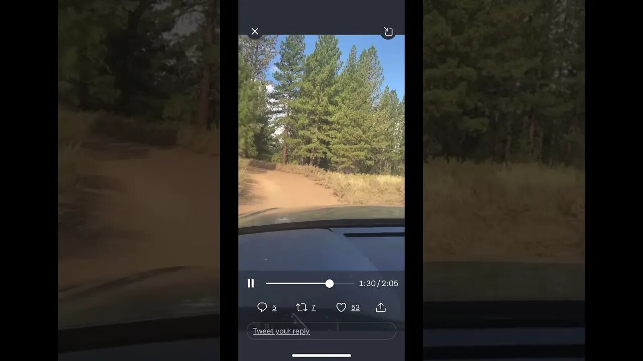 A short drive in Prosser Campground w/ Sf Investigates #kielyrodni #shorts