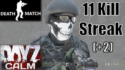 DayZ - Deathmatch - 11 Kill Streak +2 - Factory Fun in Krasnostov