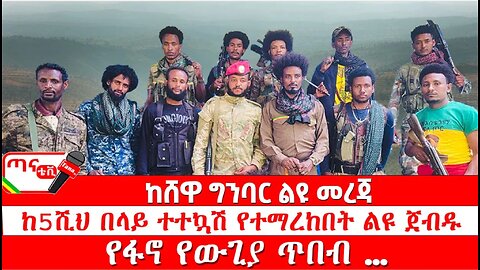 ጣና ግንባር፦ የዐርበኞች መስመር…ከሸዋ ግንባር ልዩ መረጃ፤ ከ5ሺህ በላይ ተተኳሽ የተማረከበት ልዩ ጀብዱ፤ የፋኖ የውጊያ ጥበብ …