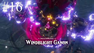 Air and Lightning| Hyrule Warriors: Age of Calamity #16