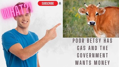 What?! Cow Farts are big money now