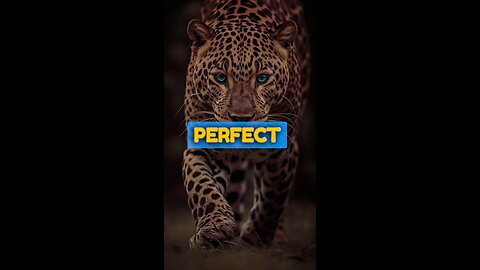 Be Yourself The Perfection of Learning from Mistakes #motivation