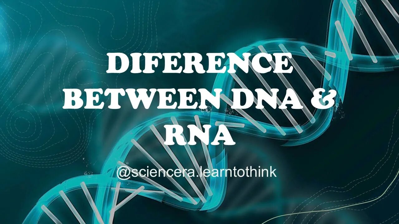 What's the difference between DNA and RNA? - BMI2601