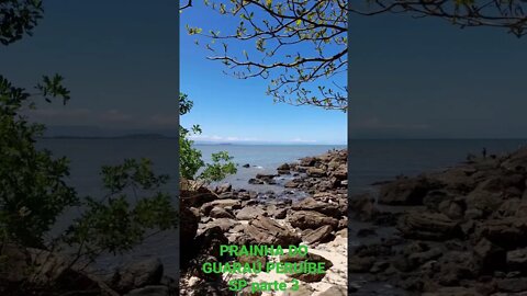PRAINHA DO GUARAÚ PERUÍBE SP parte 3 #shorts