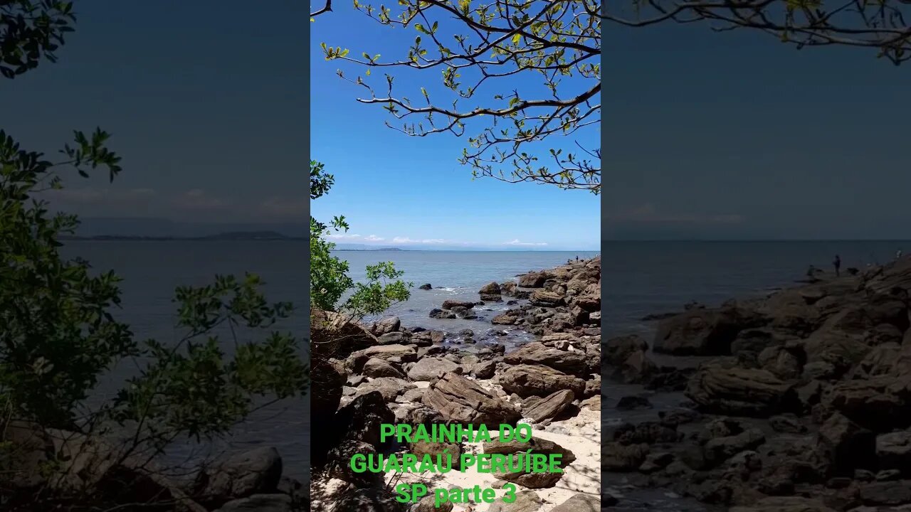 PRAINHA DO GUARAÚ PERUÍBE SP parte 3 #shorts