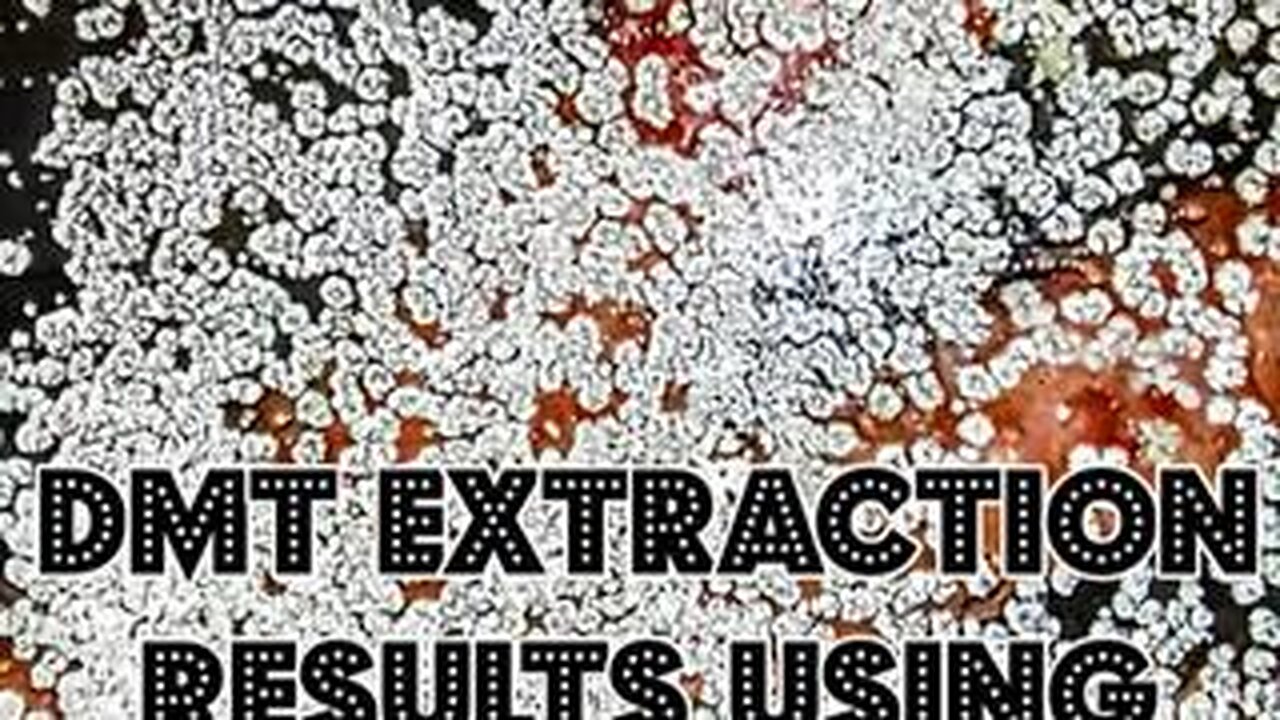 DMT EXTRACTION RESULTS USING SALT!🧂🤯