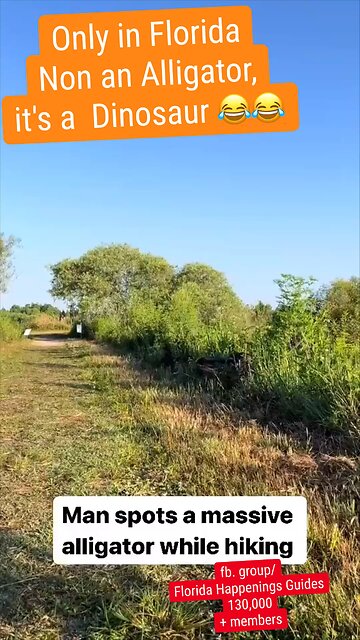 Only in #Florida Non an #Alligator, it's a #Dinosaur 😂😂