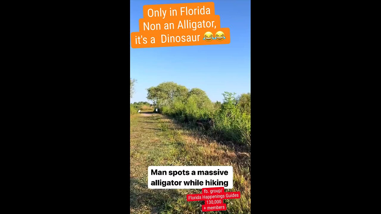 Only in #Florida Non an #Alligator, it's a #Dinosaur 😂😂