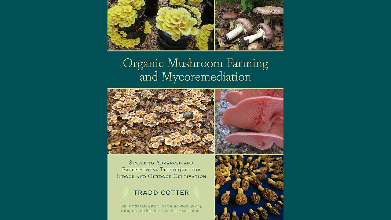 Organic Mushroom Farming and Mycoremediation