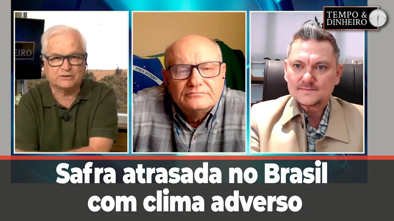 Safra atrasada no Brasil com clima adverso. Veja o que dizem Gazolla e Brandalizze