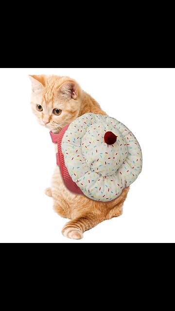 Most Funniest Animals - Best Cats😹 & Dogs🐶 Videos of 2023 Compilation! #23