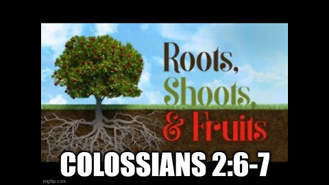 Colossians 2:6-7 The Roots, Shoots and the Fruits