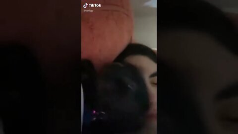 Cat Makes Cutest Little Sound I TikTok