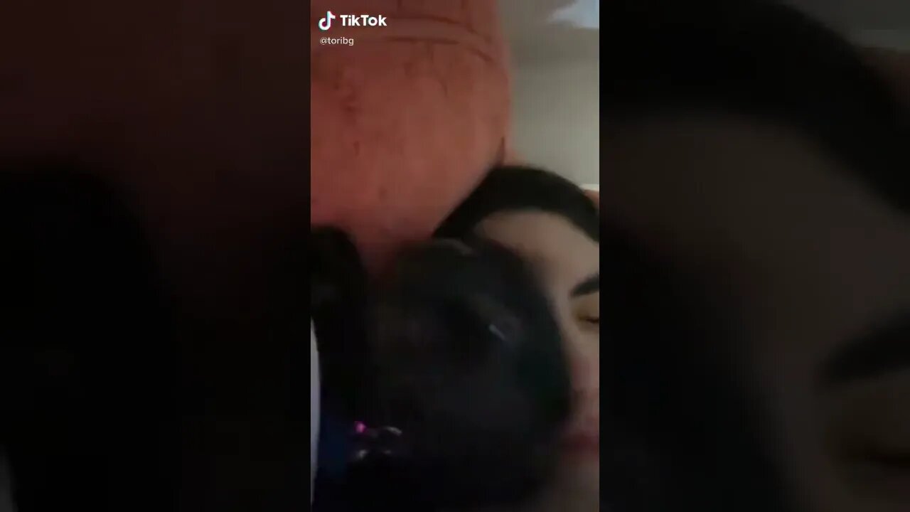 Cat Makes Cutest Little Sound I TikTok