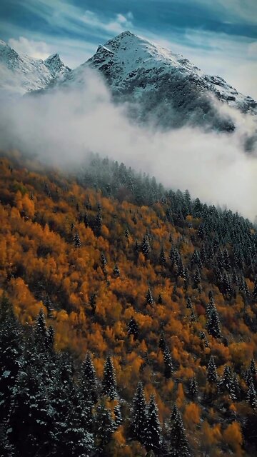 🍁❄️ Граница осени и зимы 🍁❄️ Fronteira entre outono e inverno
