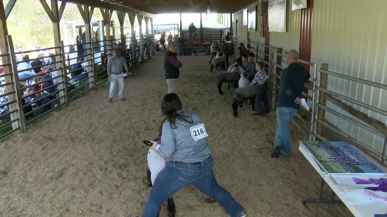 Mountain Digital Hometown TV Live Stream