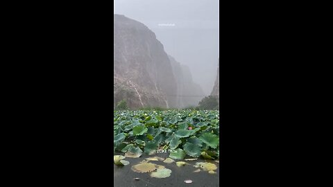 Wadi Shab