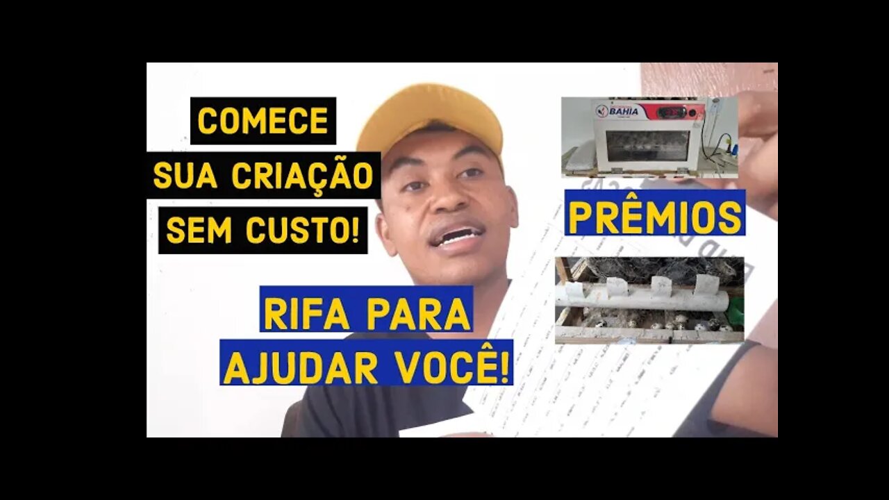 RIFA PARA ACELERAR A SUA CRIAÇÃO DE CODORNAS