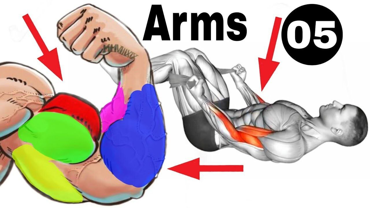 Arms strong workout at home in 30 Days | Forearms workout