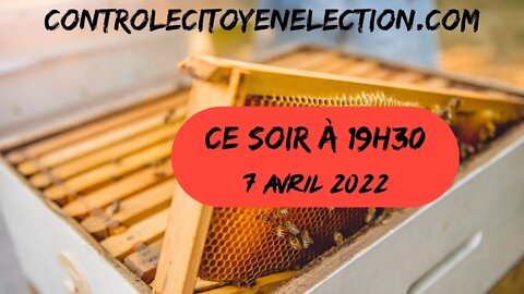 La ruche parle aux abeilles. controlecitoyenelection.com