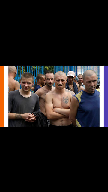 Zalensky To Use Prisoners For Combat