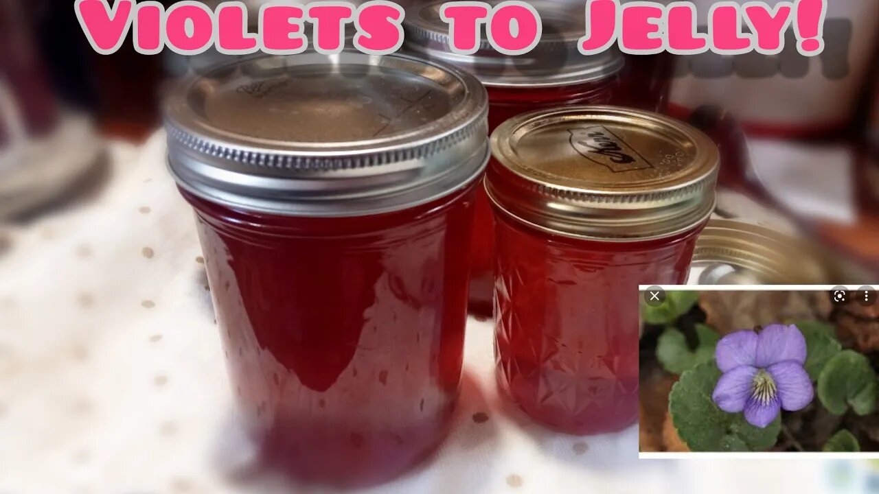 Field to Table: Wild Violets to yummy Jelly!!!