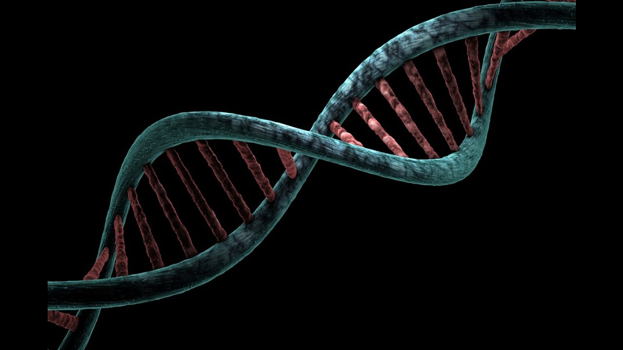 DNA replication - 3D