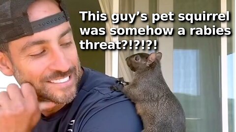 New York Killed Man’s Pet Squirrel of 7 Years Over Internet Karen Complaints, Claim Rabies Threat