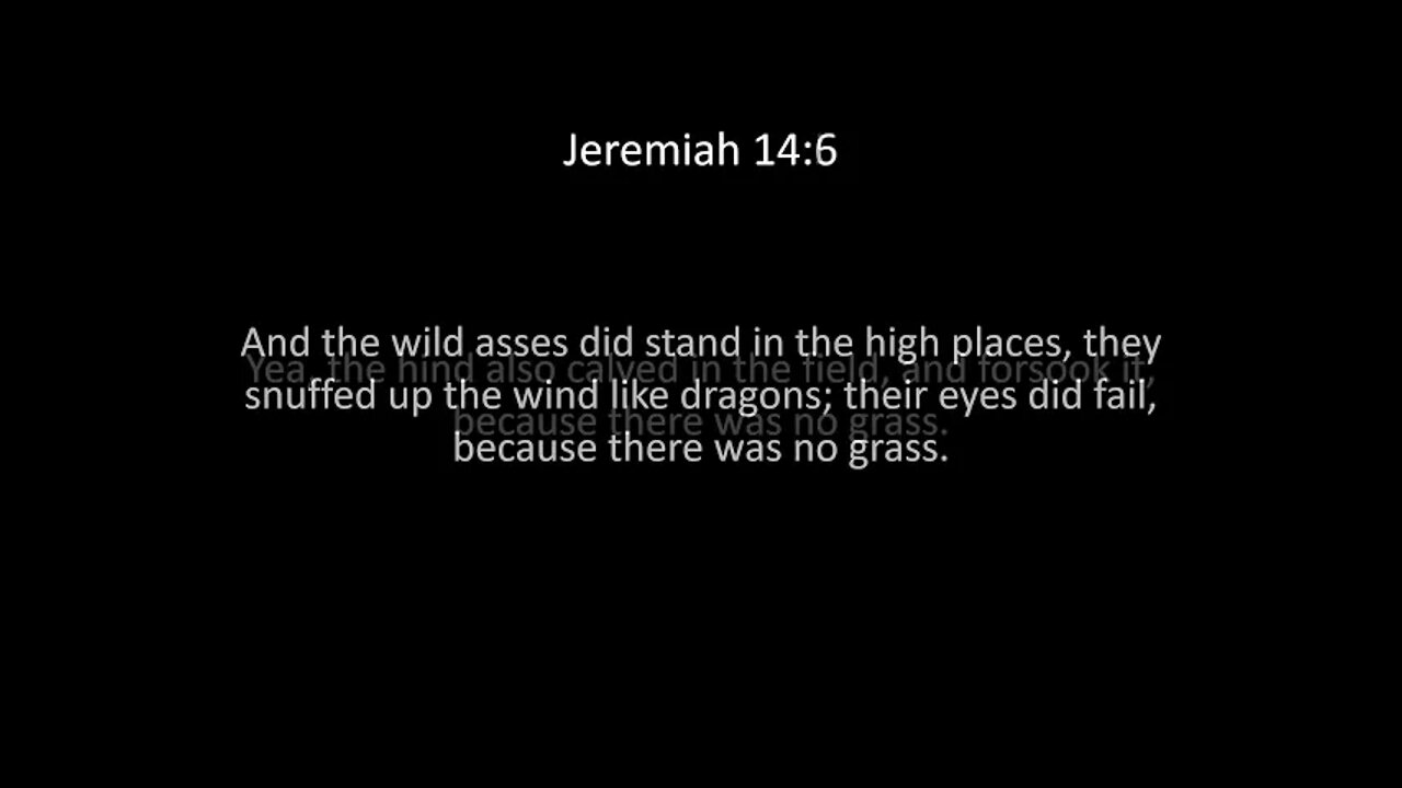 Jeremiah Chapter 14