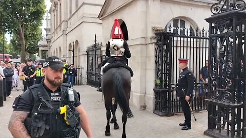 Horse freaks out 10 September 2022 #horseguardsparade