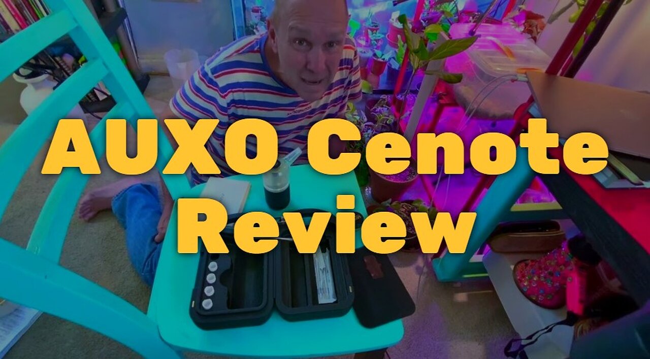 AUXO Cenote Review - Compact and Colorful