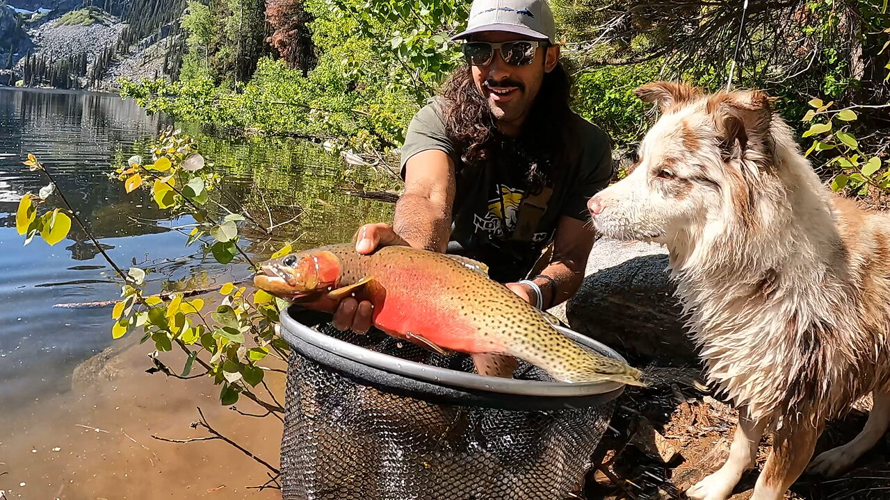 Idaho: Cutthroat Searches & Destroys