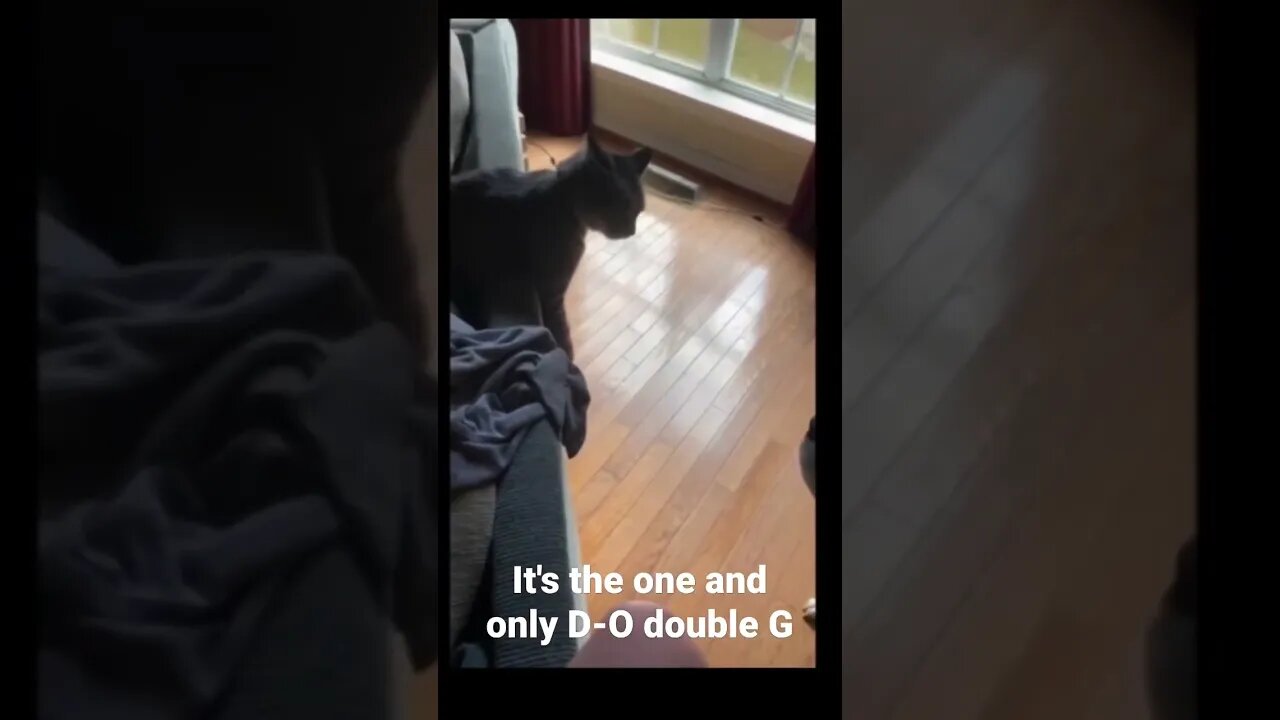 It's the one and only D-O double G #shorts