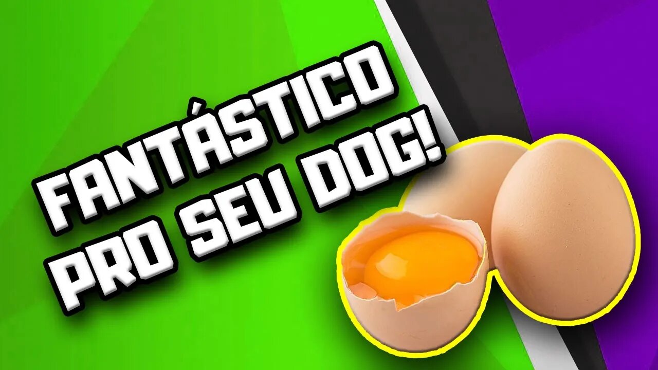 Dê mais Ovo para o seu Cachorro! | Dr. Edgard Gomes | Alimentação natural para Cães