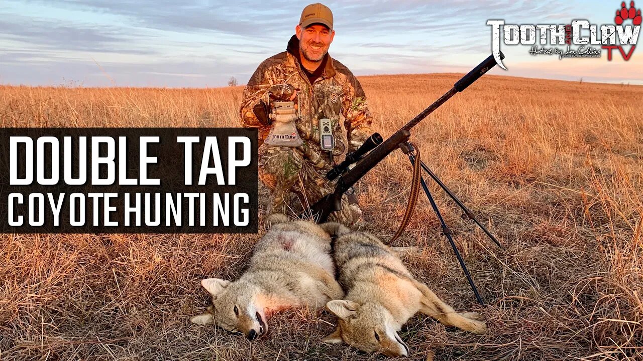 Double Tap - Coyote Hunting