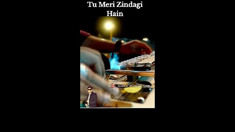 TU Meri Zindagi hai