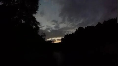 Night vision in the jungle