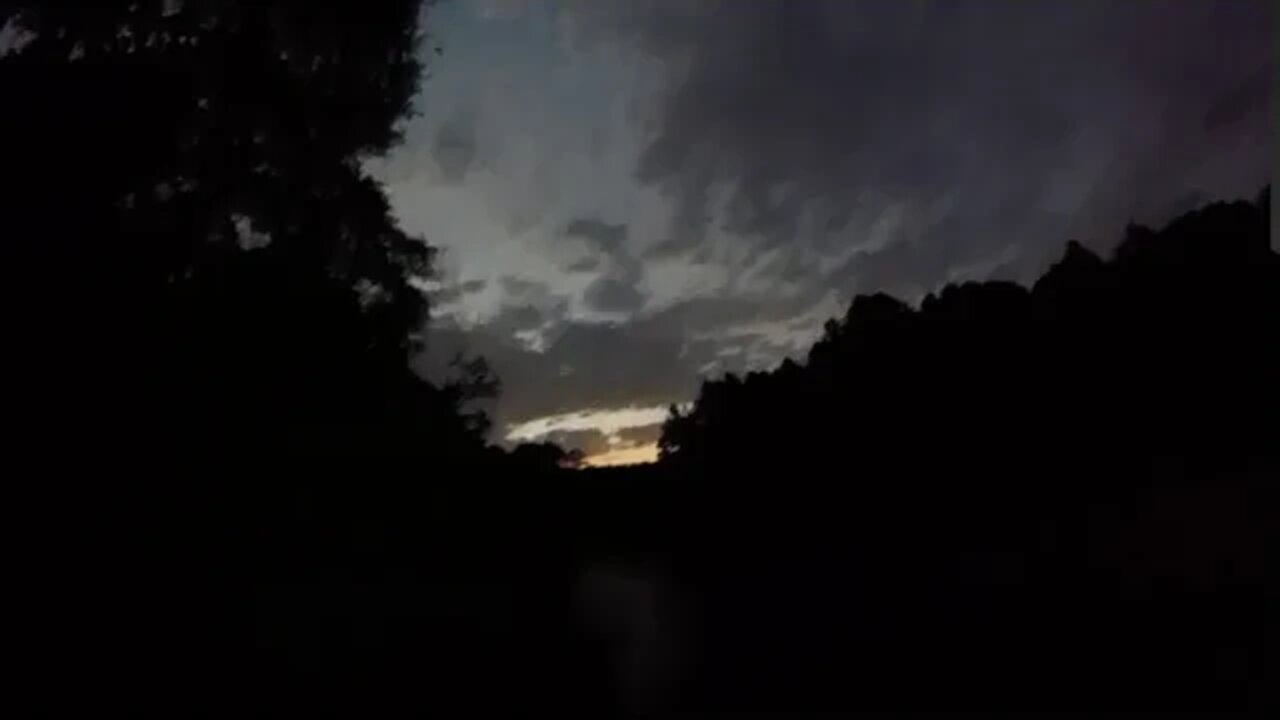 Night vision in the jungle