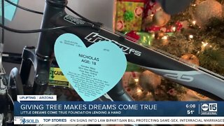 AZDCS giving tree helping make dreams come true for foster youth