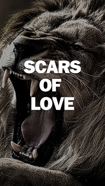 Love's Legacy: Memories and Scars