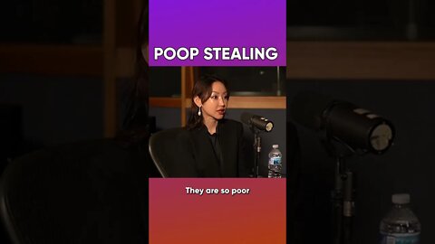 Why North Koreans Steal Poop 💩