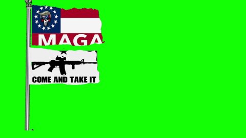 Greenscreen Come and take it Maga Confederate flag