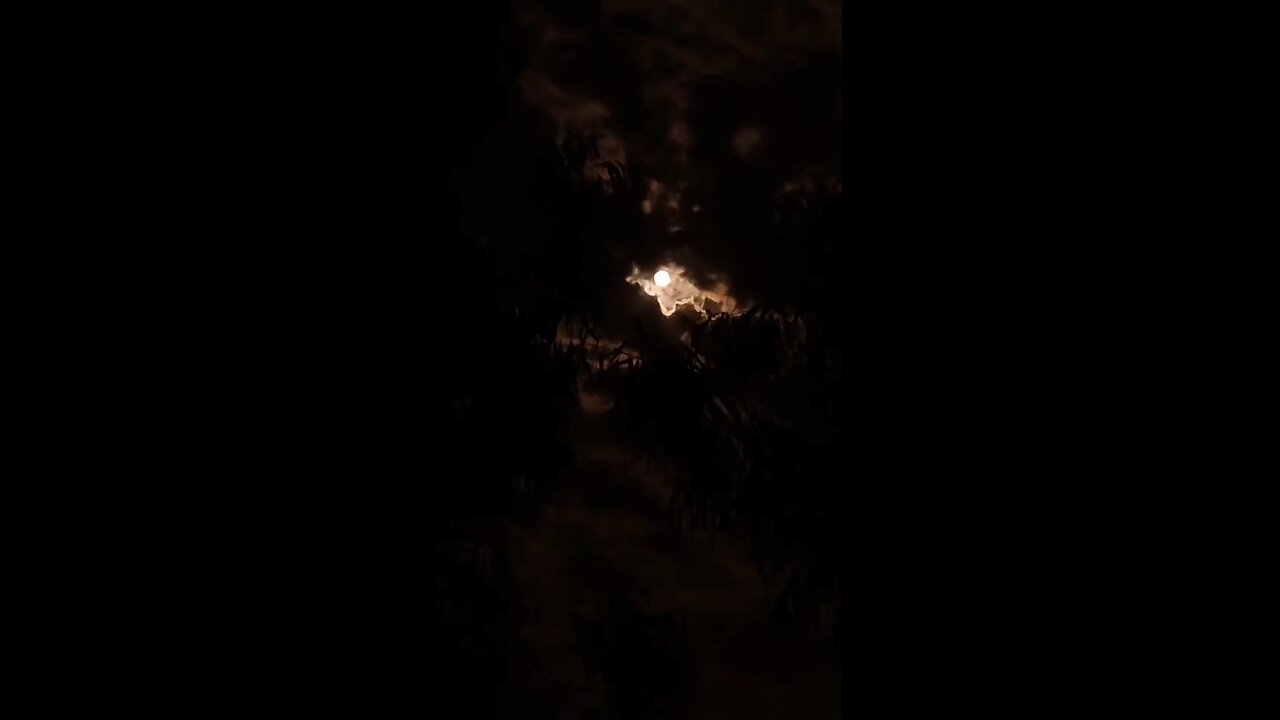 🎶