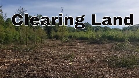 Land Clearing DAY 6 Update & Grapple clearing work