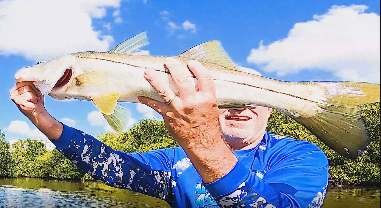 Urban Backwaters, Big Snook choose Swimbaits over Mullet