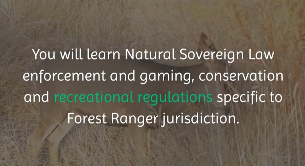 A career as a Forest Ranger in Your Republic