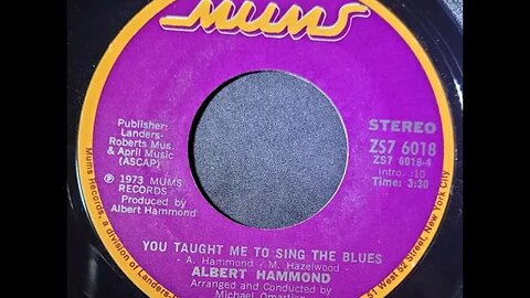 Albert Hammond - You Taught Me to Sing the Blues