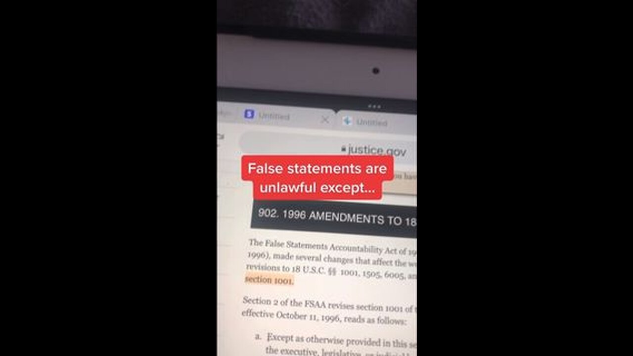 ALLOWED TO LIE UNDER OATH TO US 1996 AMENDMENTS TO 18 U.S.C. § 1001