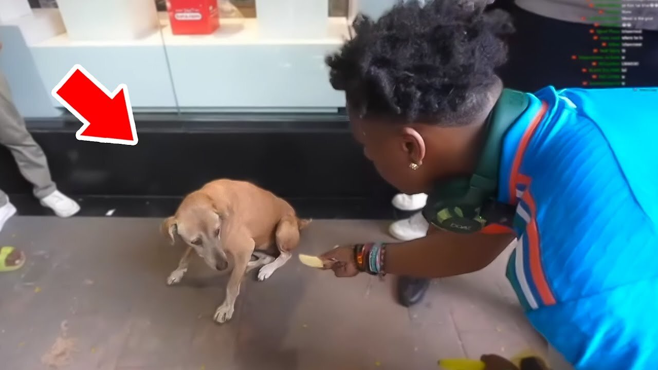 IShowSpeed Helps Homeless Dog In INDIA 😢🇮🇳