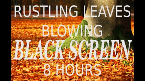 Leaves blowing Black screen 8 hours rustling leaves